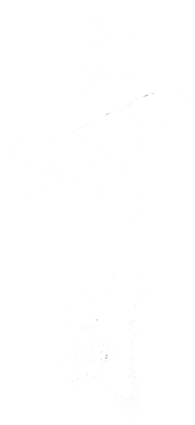 Japanese sushi text
